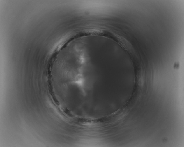 X0000114180735200910151700