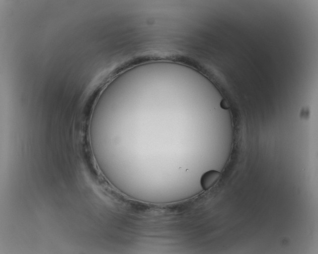 X0000114180736200910151700