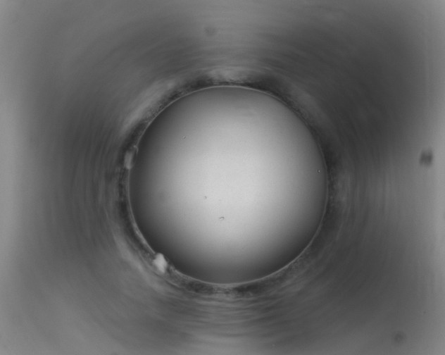 X0000114180738200910151700