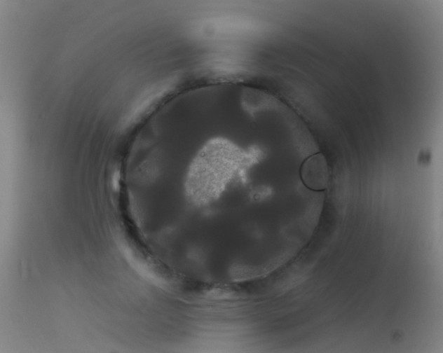 X0000114180742200910151701