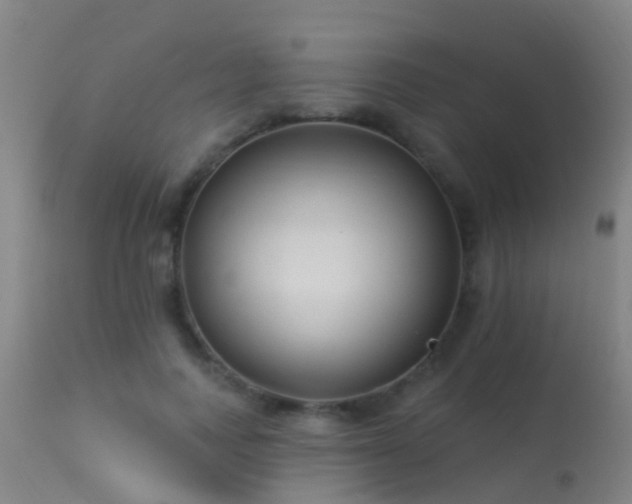 X0000114180743200910151701