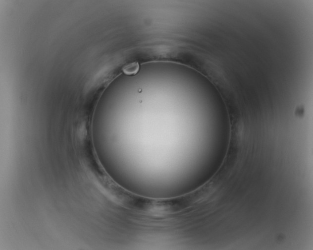 X0000114180746200910151701