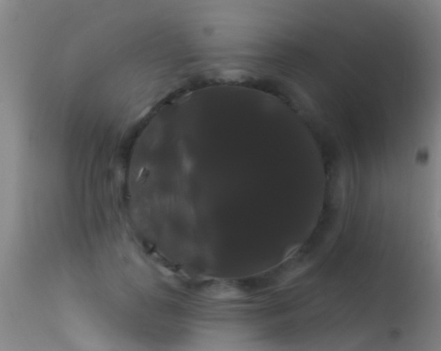 X0000114180747200910151701