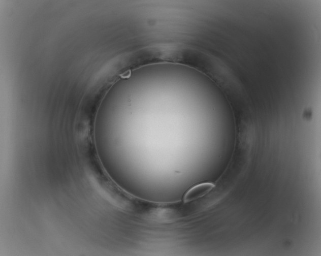 X0000114180748200910151701