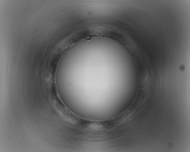 X0000114180749200910151701