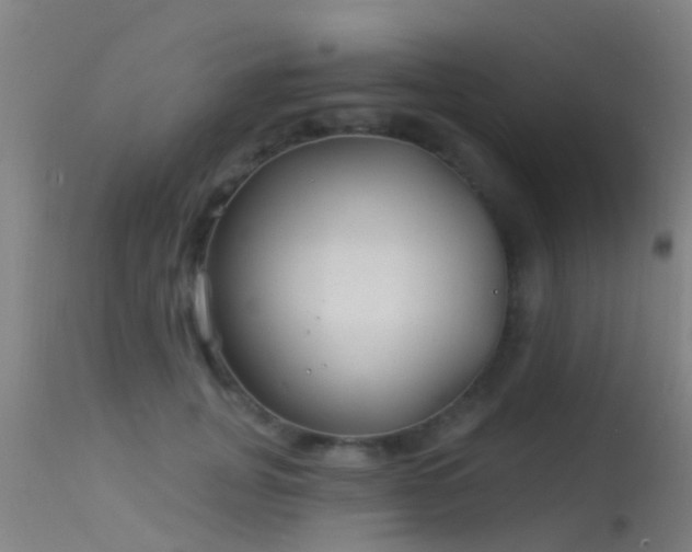 X0000114180751200910151701