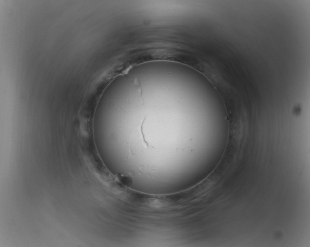 X0000114180755200910151701