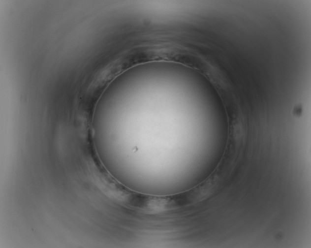 X0000114180757200910151701