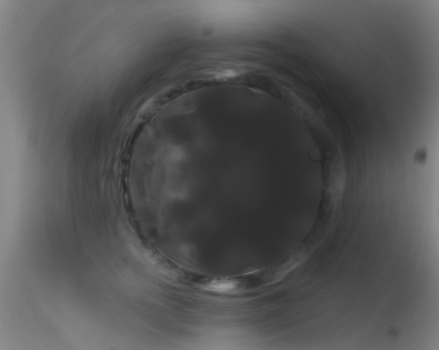 X0000114180758200910151701