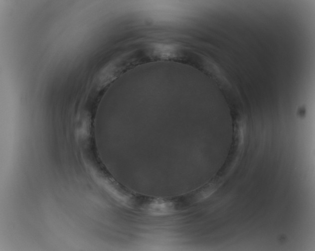 X0000114180760200910151701