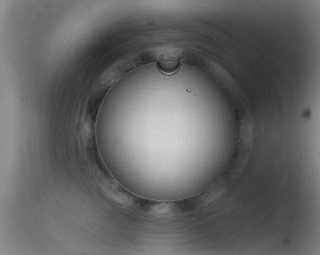 X0000114180761200910151701