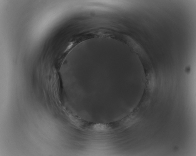 X0000114180762200910151701