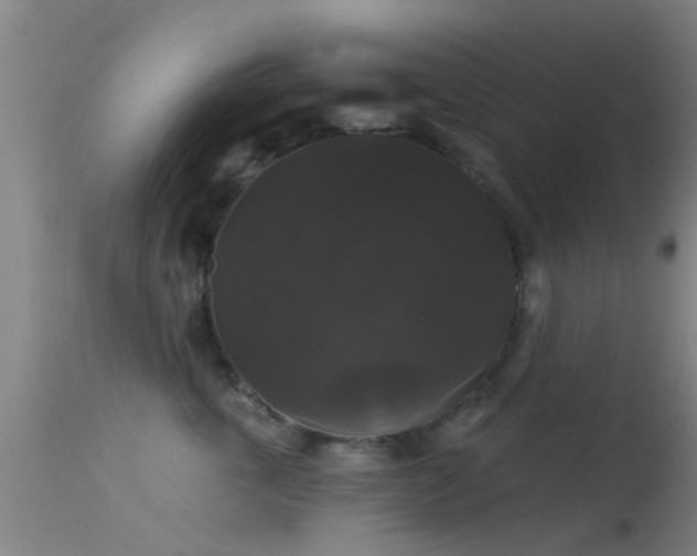 X0000114180763200910151701