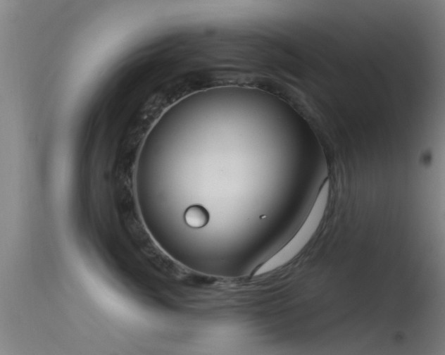X0000114180764200910151701