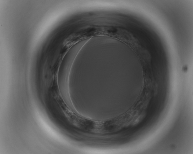 X0000114180766200910151701