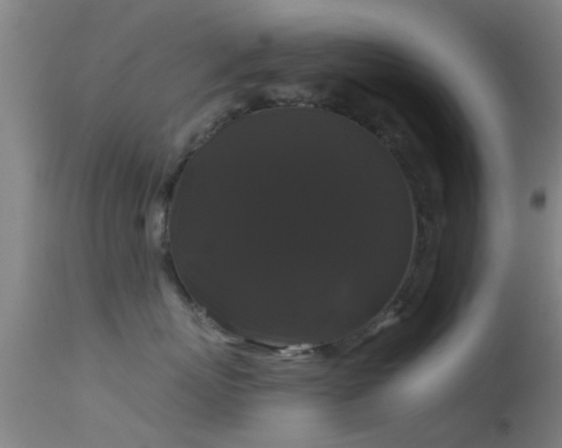 X0000114180767200910151701