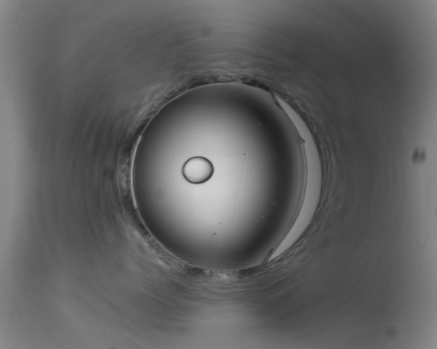 X0000114180768200910151701