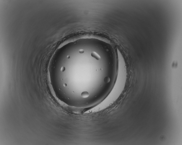 X0000114180769200910151700