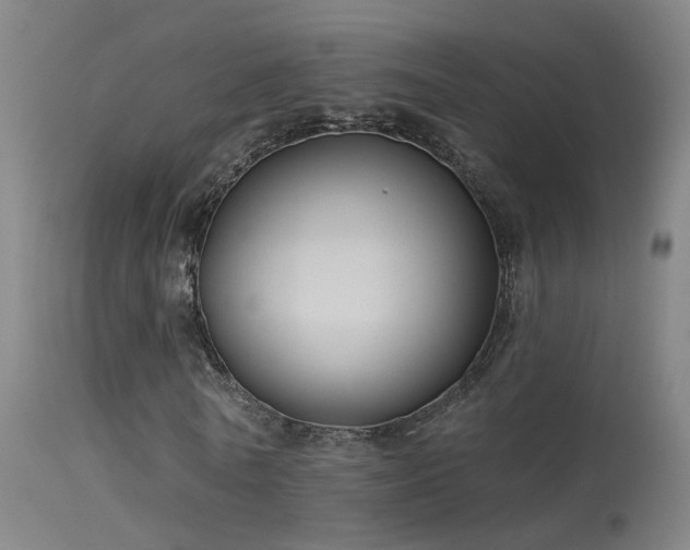 X0000114180770200910151700