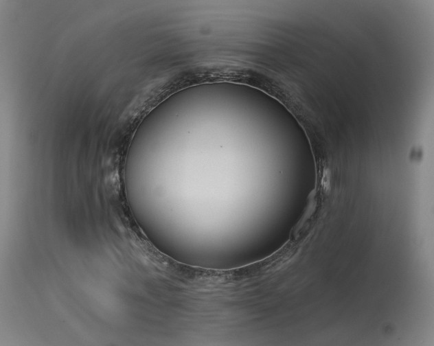 X0000114180771200910151700
