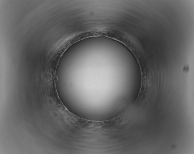 X0000114180773200910151700