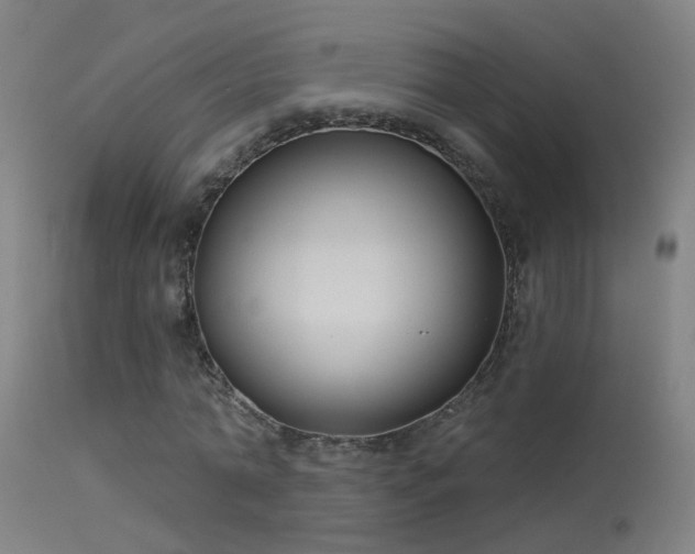 X0000114180774200910151700