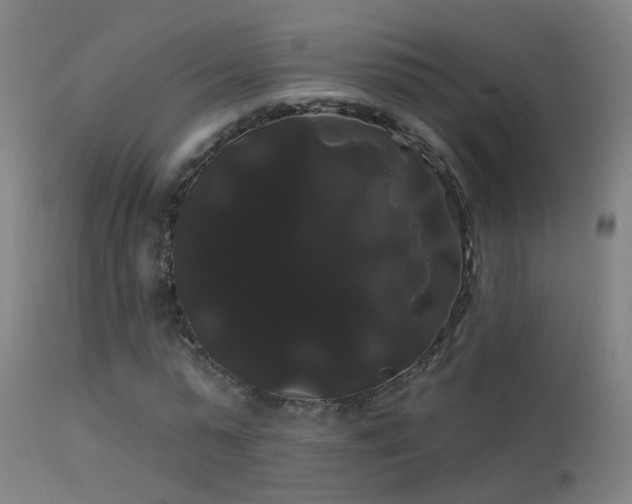 X0000114180775200910151700
