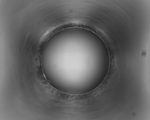X0000114180776200910151700