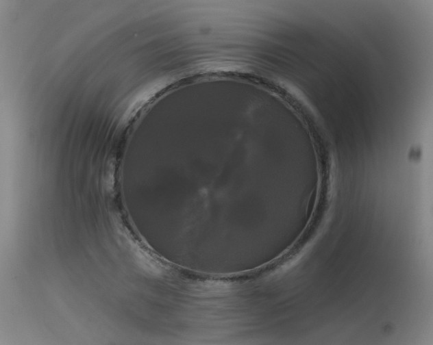 X0000114180777200910151700