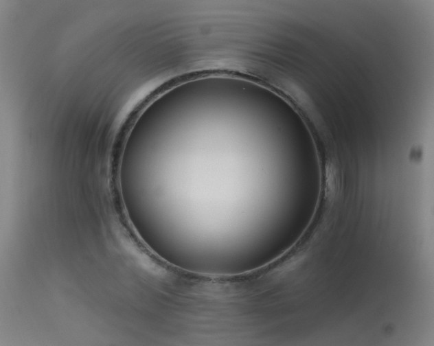 X0000114180780200910151700