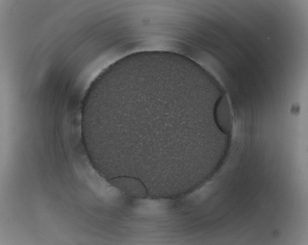 X0000114180781200910151700