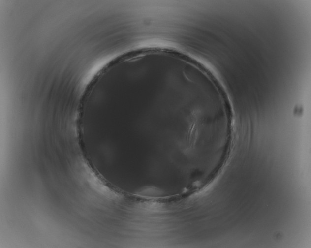 X0000114180783200910151700