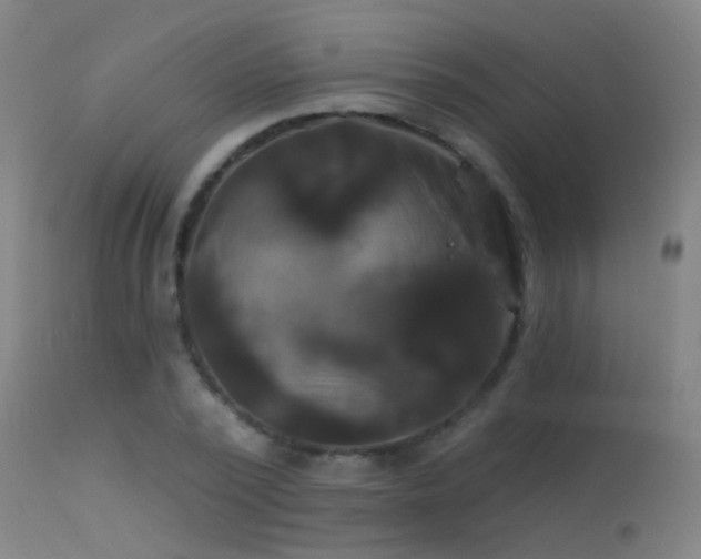 X0000114180784200910151700