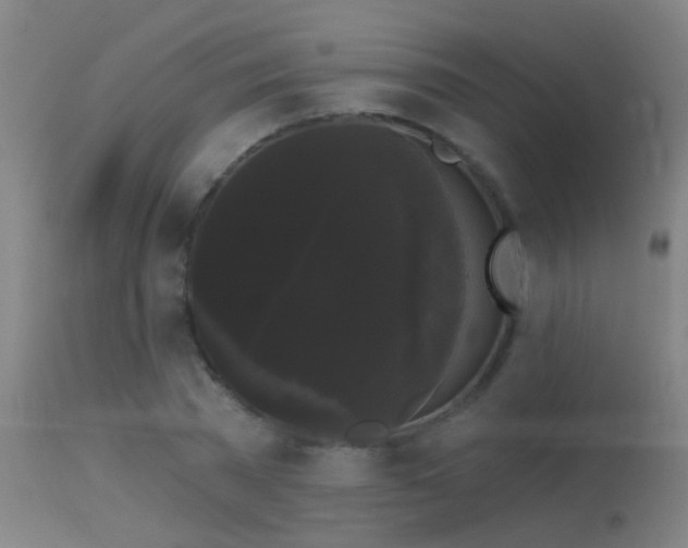 X0000114180785200910151700