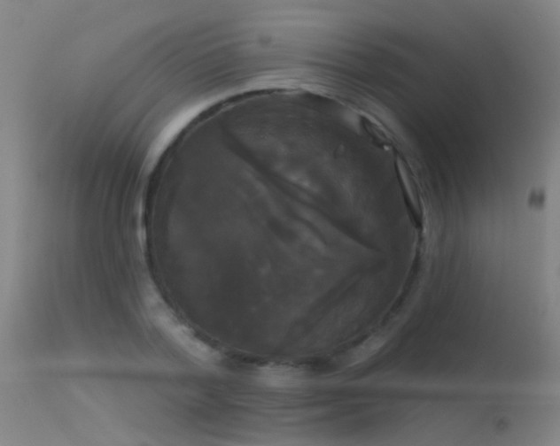 X0000114180788200910151700
