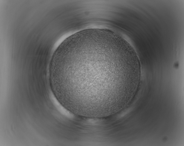 X0000114180803200910151659
