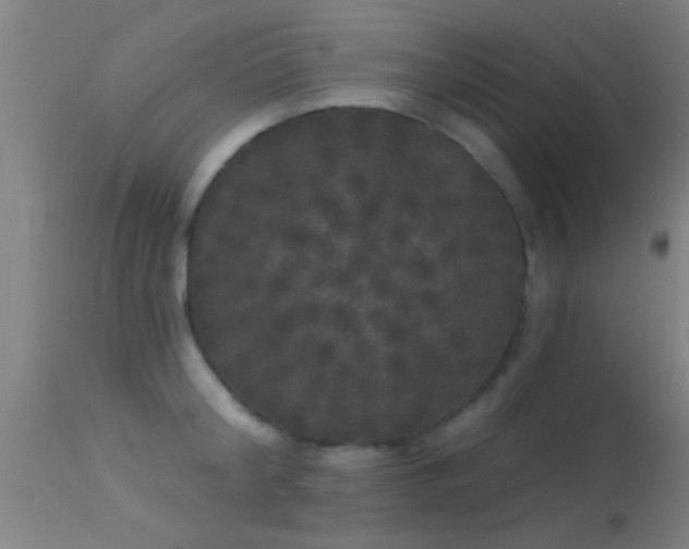 X0000114180804200910151659