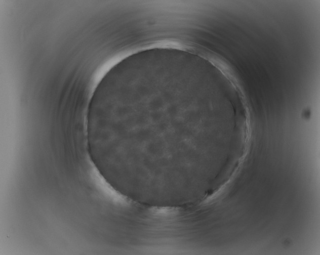 X0000114180808200910151659