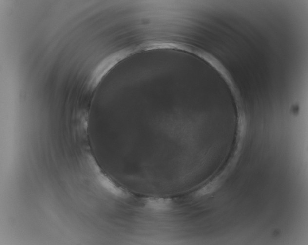 X0000114180809200910151659