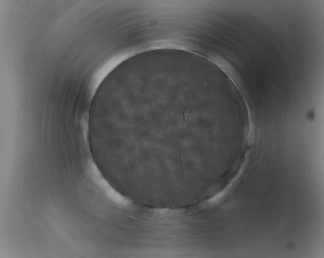 X0000114180812200910151659