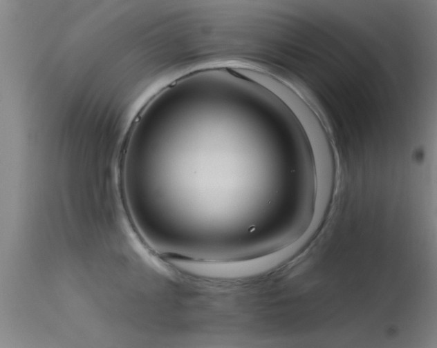 X0000114180813200910151659
