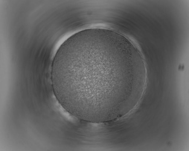 X0000114180816200910151659