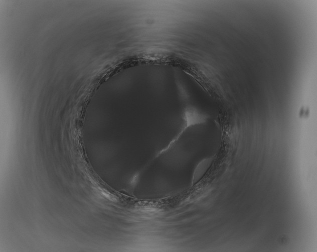 X0000114180817200910151658
