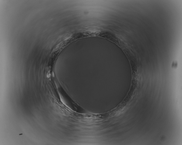 X0000114180818200910151658