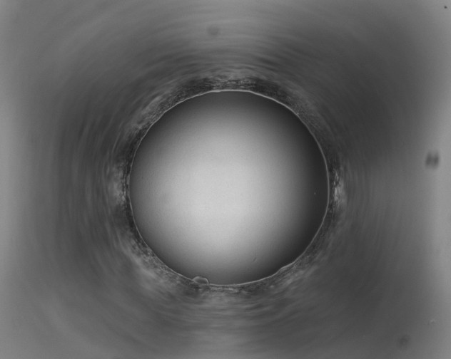 X0000114180819200910151658