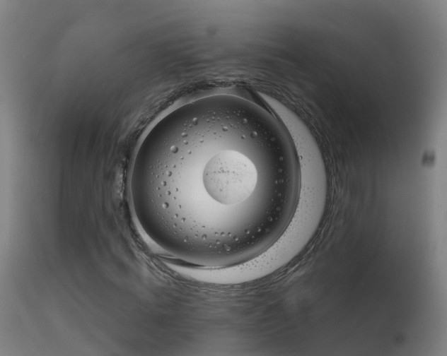 X0000114180820200910151658
