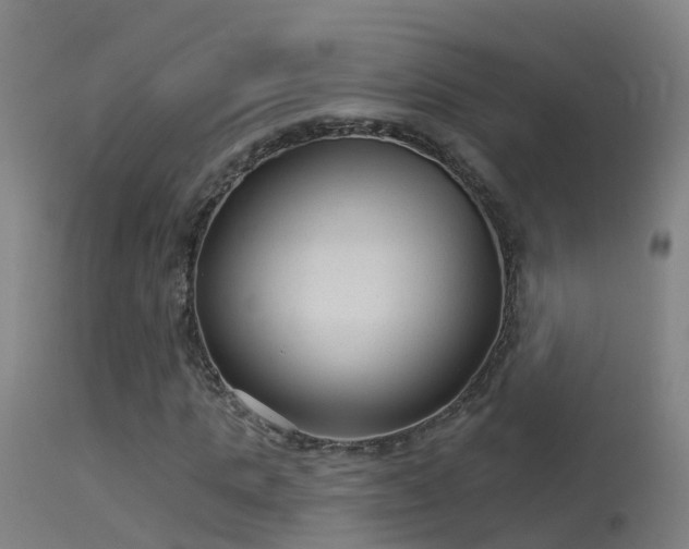 X0000114180821200910151658
