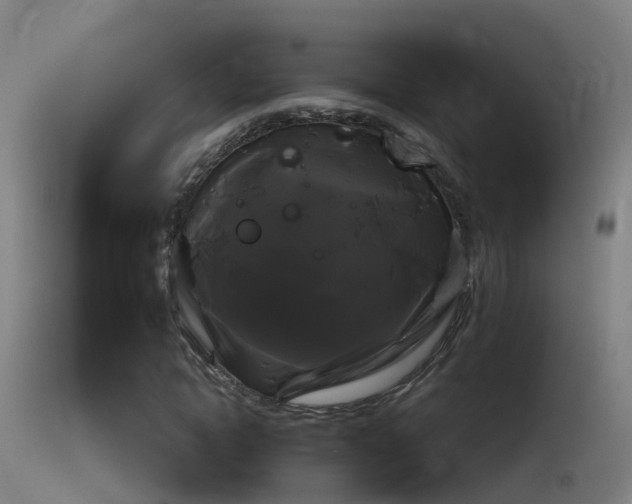 X0000114180822200910151658