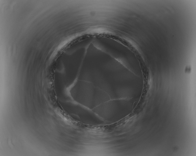 X0000114180823200910151658