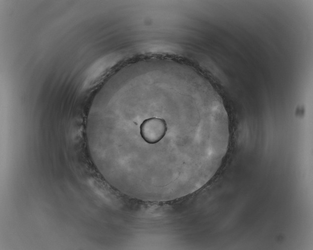 X0000114180824200910151658